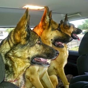 Meet your Posher, Julie